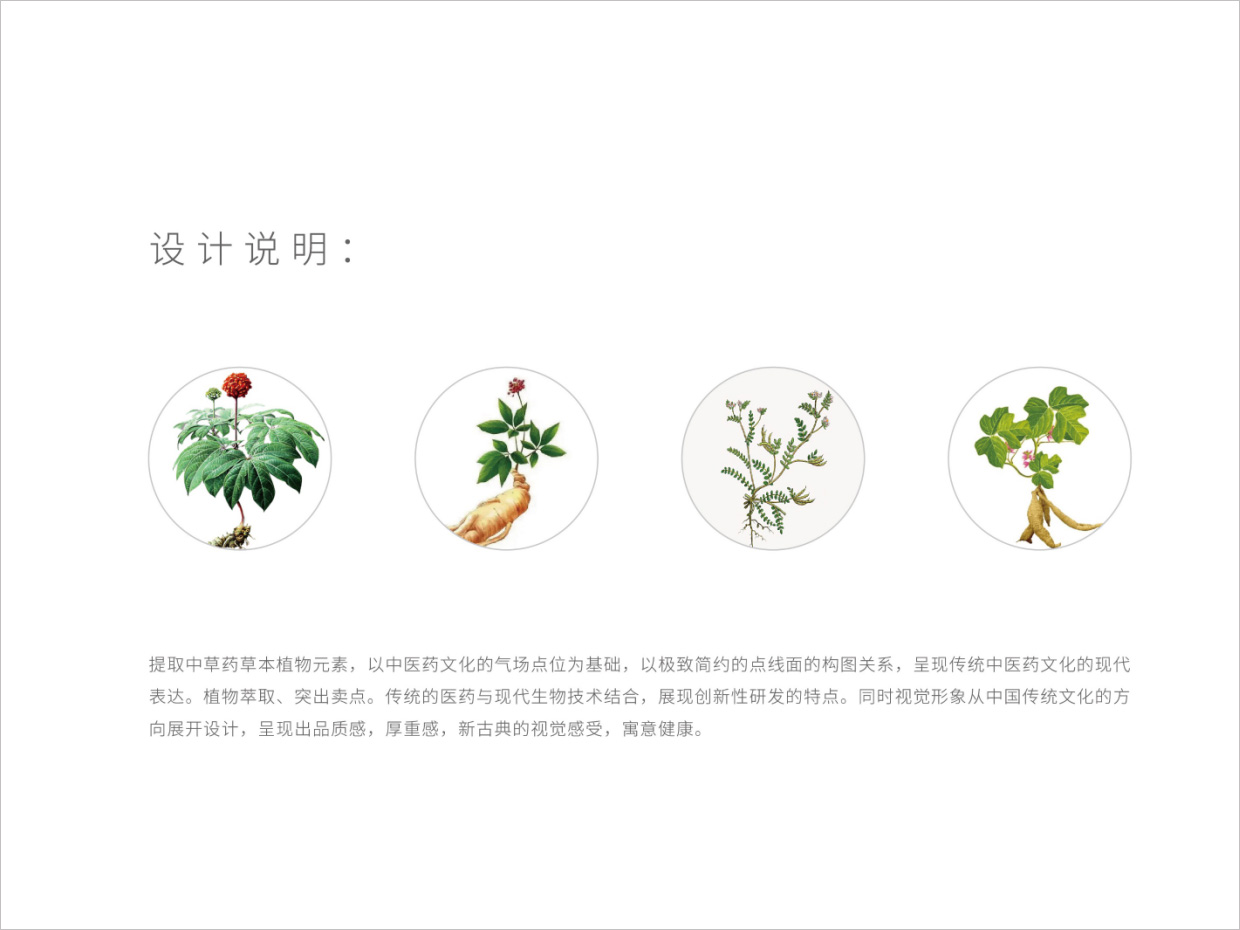 先聲藥業(yè)氣血康口服液包裝設計之設計說明 先聲藥業(yè)氣血康口服液包裝設計之設計說明