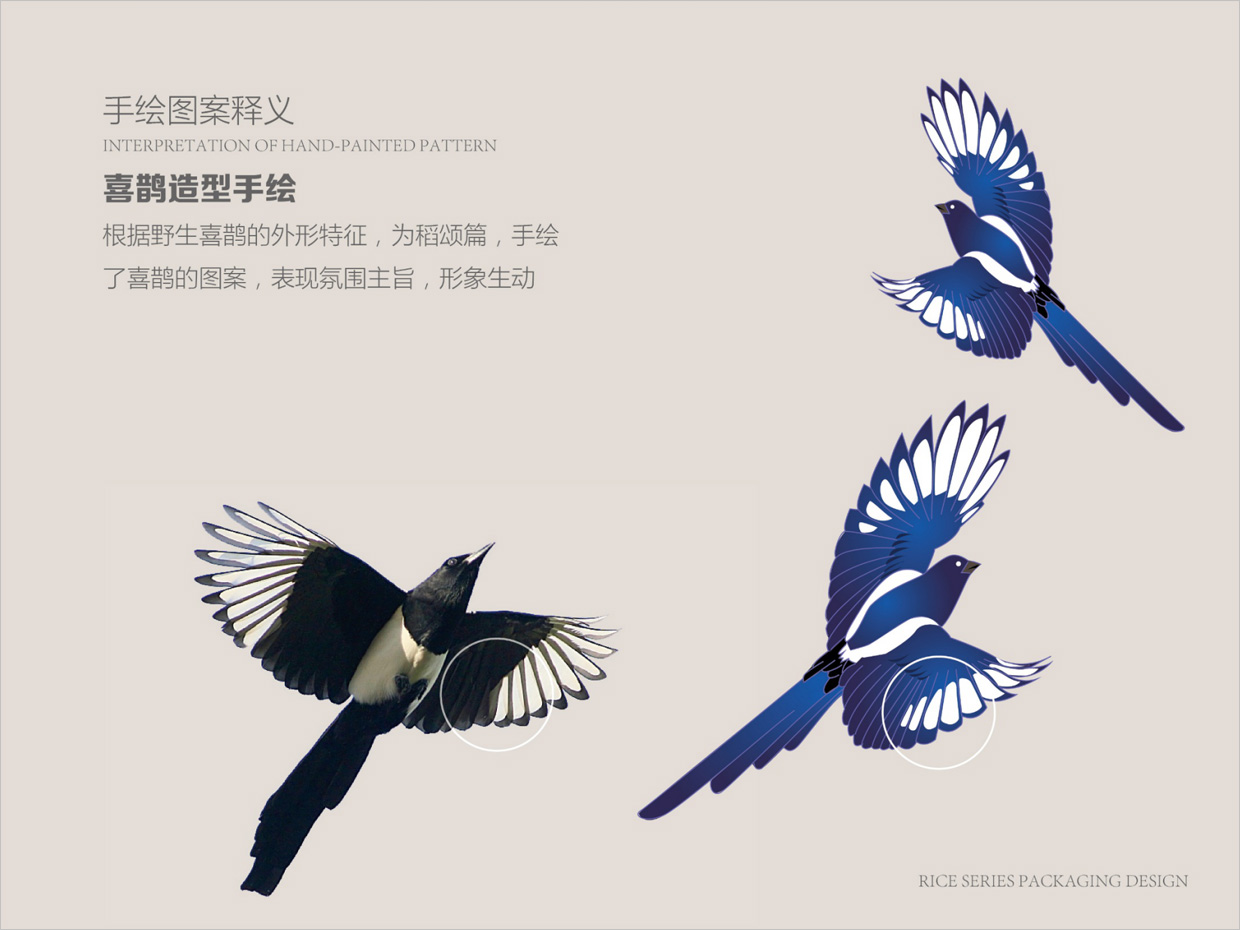 綠牧嶺大米農(nóng)產(chǎn)品包裝設(shè)計之喜鵲手繪插圖 綠牧嶺大米農(nóng)產(chǎn)品包裝設(shè)計之喜鵲手繪插圖