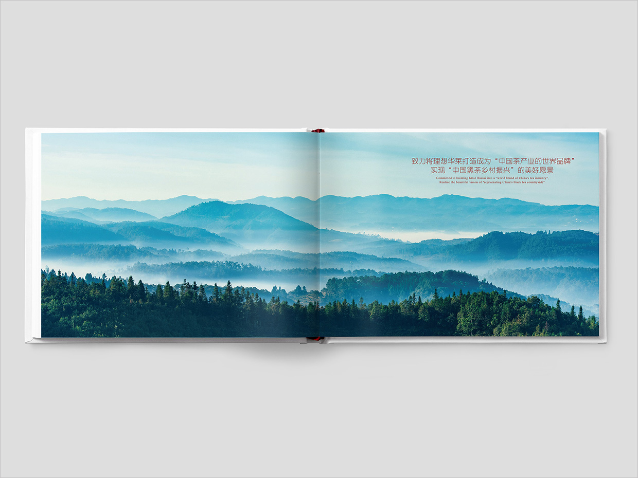 理想華萊科技集團(tuán)公司畫冊(cè)設(shè)計(jì)之扉頁設(shè)計(jì) 理想華萊科技集團(tuán)公司畫冊(cè)設(shè)計(jì)之扉頁設(shè)計(jì)