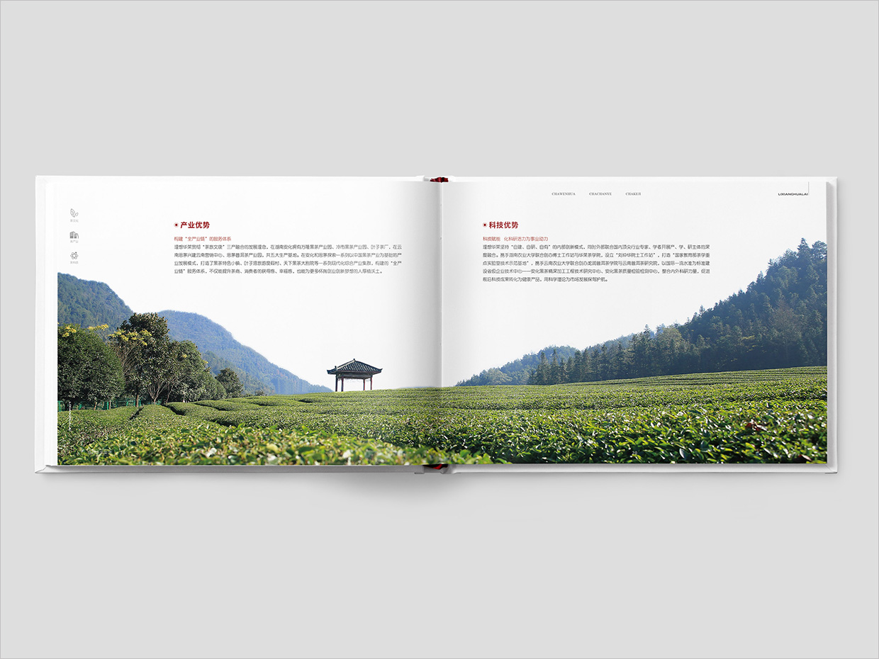 理想華萊科技集團(tuán)公司畫冊(cè)設(shè)計(jì)之產(chǎn)業(yè)優(yōu)勢(shì)頁面設(shè)計(jì) 理想華萊科技集團(tuán)公司畫冊(cè)設(shè)計(jì)之產(chǎn)業(yè)優(yōu)勢(shì)頁面設(shè)計(jì)