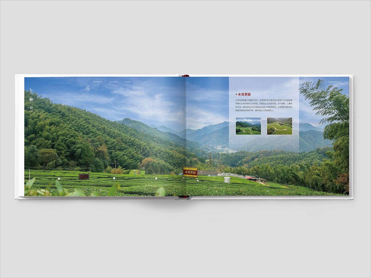 理想華萊科技集團(tuán)公司畫冊(cè)設(shè)計(jì)之水龍茶園頁面設(shè)計(jì) 理想華萊科技集團(tuán)公司畫冊(cè)設(shè)計(jì)之水龍茶園頁面設(shè)計(jì)