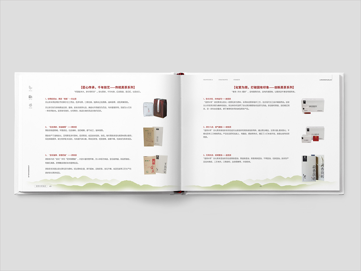 理想華萊科技集團(tuán)公司畫冊(cè)設(shè)計(jì)之產(chǎn)品介紹頁面設(shè)計(jì) 理想華萊科技集團(tuán)公司畫冊(cè)設(shè)計(jì)之產(chǎn)品介紹頁面設(shè)計(jì)