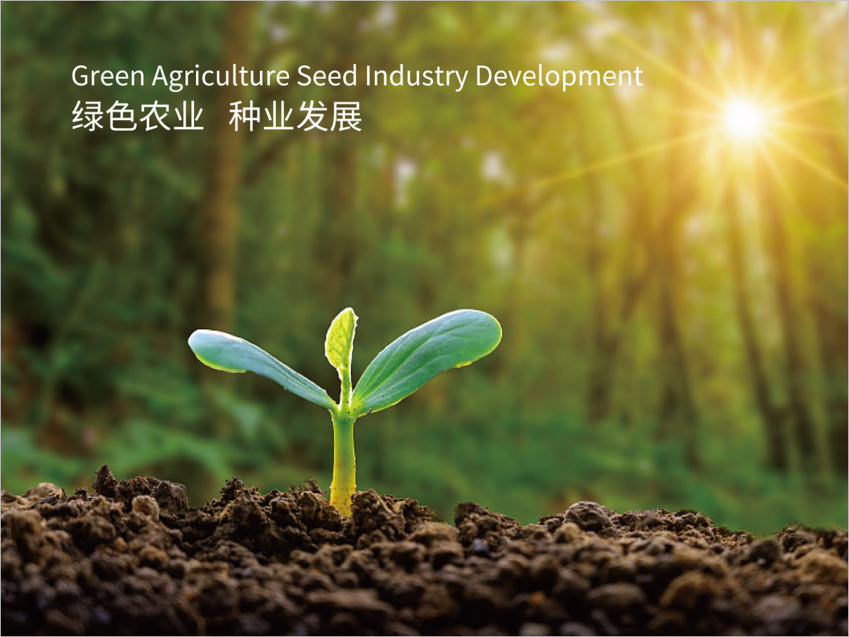 北京先農(nóng)投資管理公司logo設(shè)計(jì)創(chuàng)意理念說明之禾苗幼芽 北京先農(nóng)投資管理公司logo設(shè)計(jì)創(chuàng)意理念說明之禾苗幼芽